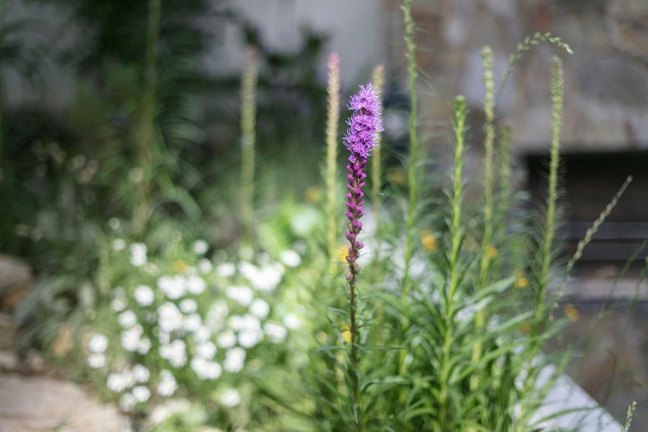 Fragrant Garden Apartment Lisboa Екстериор снимка